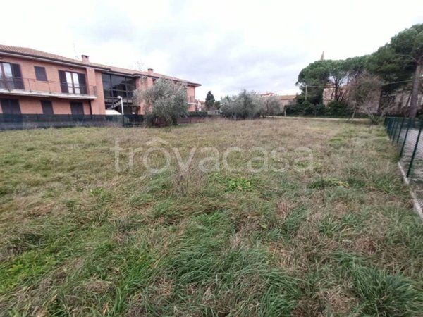 terreno agricolo in vendita a Castiglione del Lago in zona Panicarola