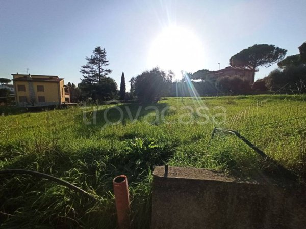 terreno agricolo in vendita a Castiglione del Lago