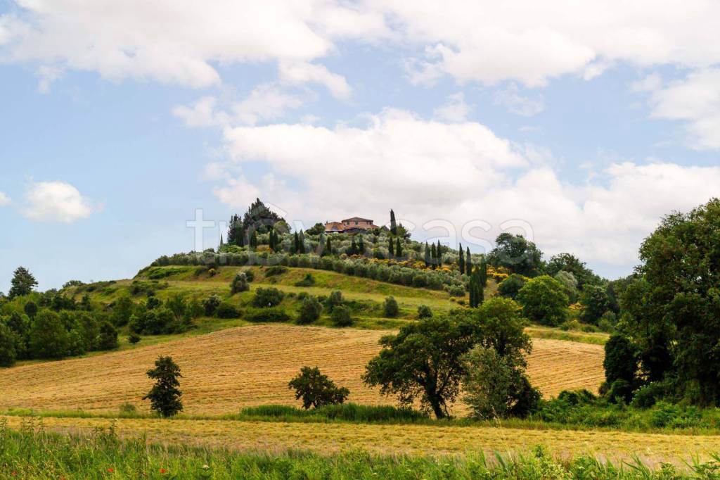 negozio in vendita a Castiglione del Lago in zona Villastrada