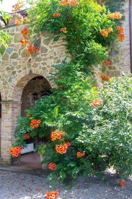casa indipendente in vendita a Castiglione del Lago in zona Porto