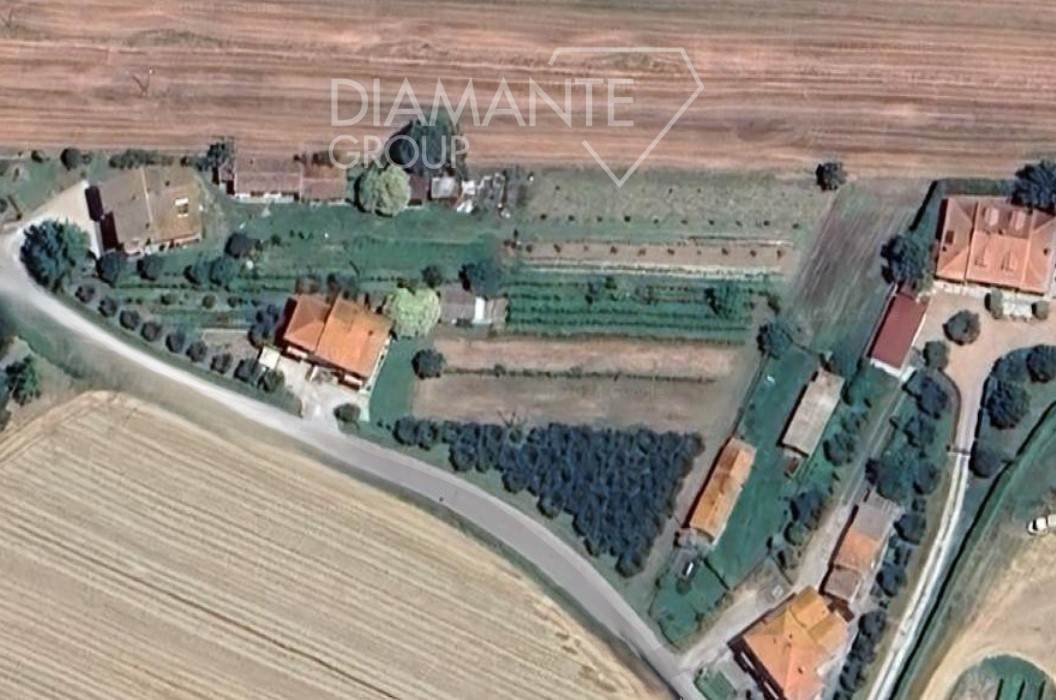 terreno agricolo in vendita a Castiglione del Lago