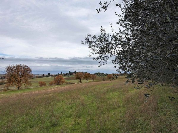 terreno agricolo in vendita a Castiglione del Lago in zona Badia