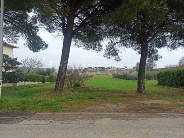terreno agricolo in vendita a Castiglione del Lago in zona Vaiano