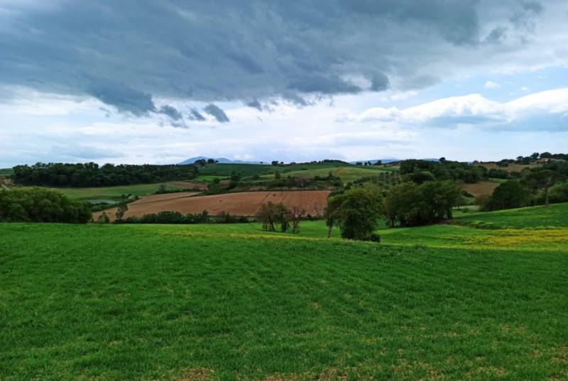terreno agricolo in vendita a Castiglione del Lago in zona Gioiella