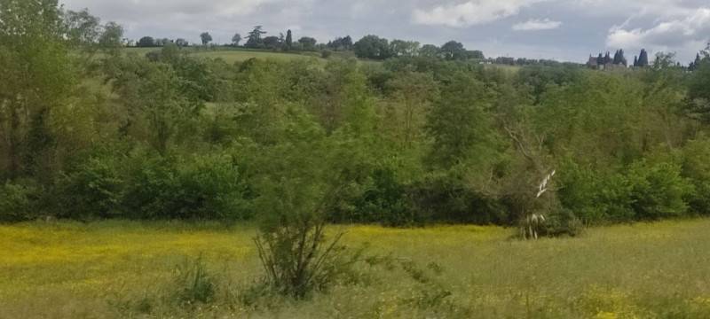 terreno agricolo in vendita a Castiglione del Lago in zona Gioiella