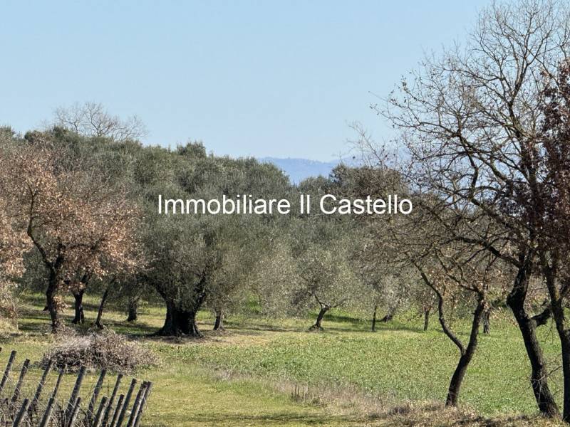 negozio in vendita a Castiglione del Lago in zona Petrignano del Lago