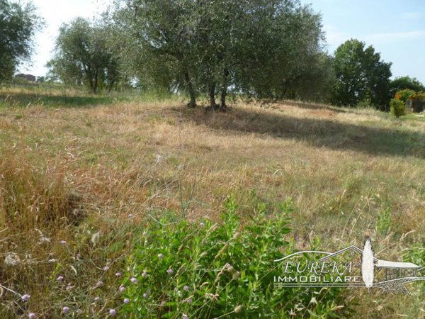terreno edificabile in vendita a Castiglione del Lago in zona Vaiano