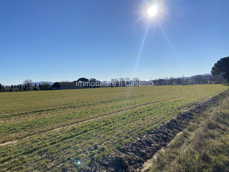 casale in vendita a Castiglione del Lago