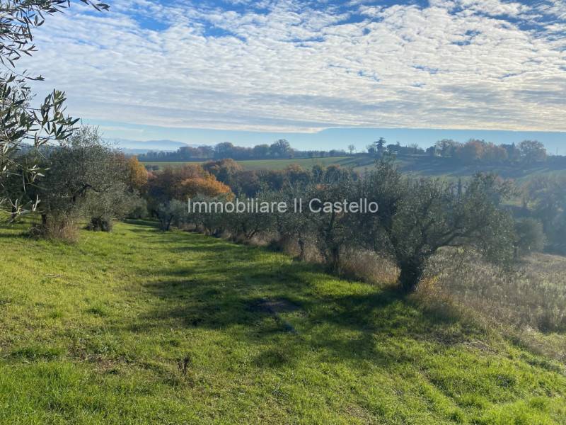 ufficio in vendita a Castiglione del Lago in zona Gioiella