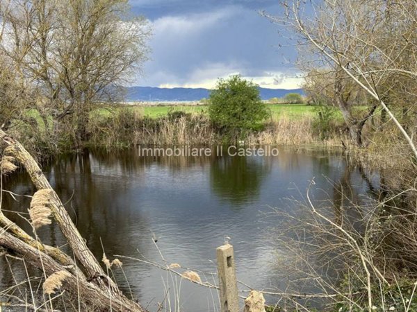 terreno agricolo in vendita a Castiglione del Lago in zona Panicarola