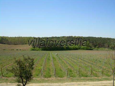 appartamento in vendita a Castiglione del Lago