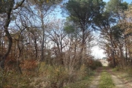 azienda agricola in vendita a Castiglione del Lago