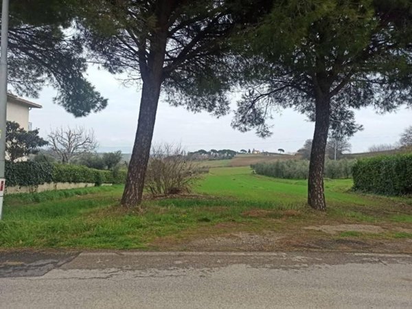terreno agricolo in vendita a Castiglione del Lago