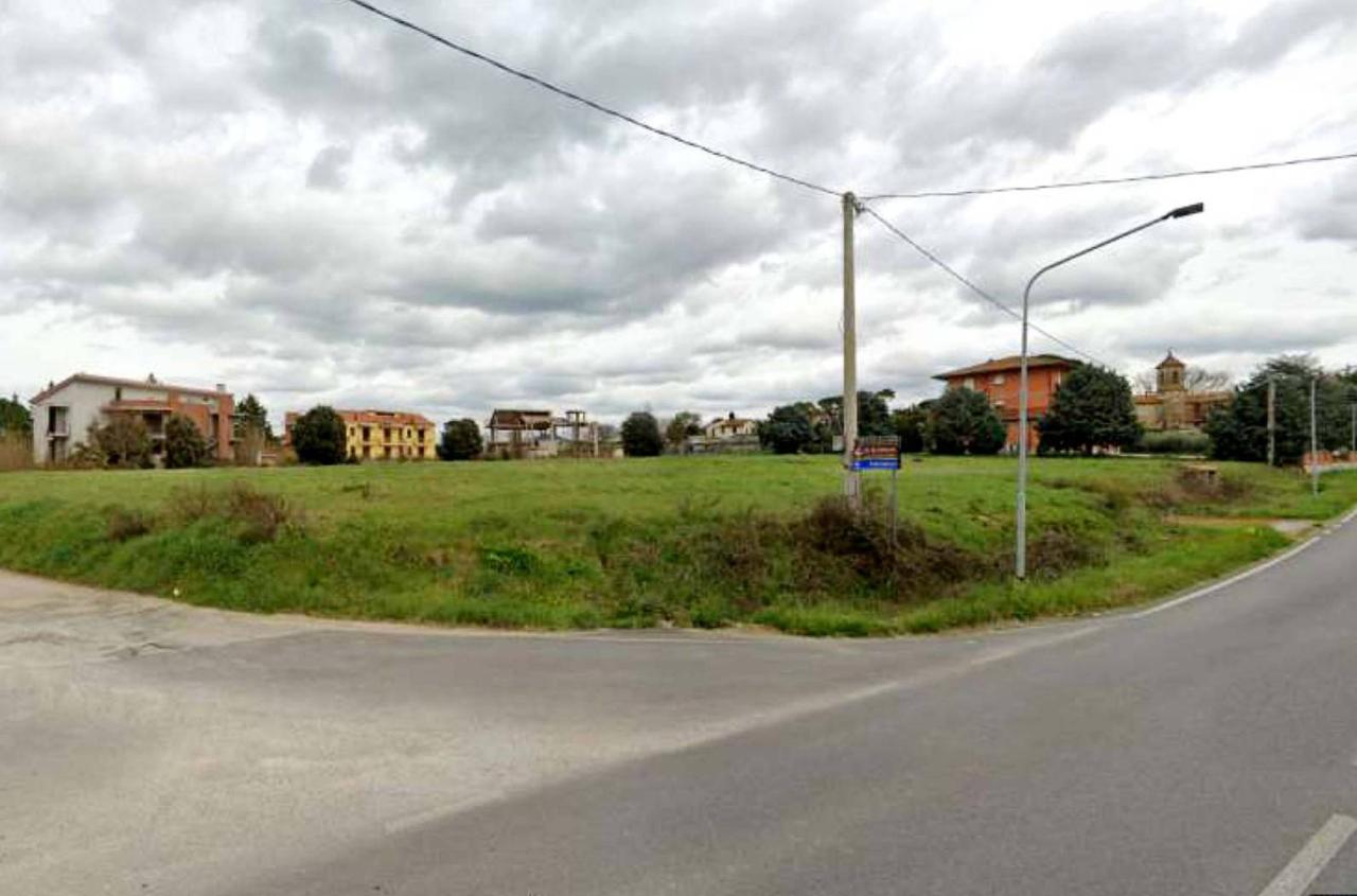 terreno agricolo in vendita a Castiglione del Lago