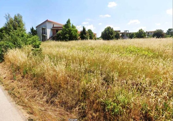 terreno agricolo in vendita a Castiglione del Lago