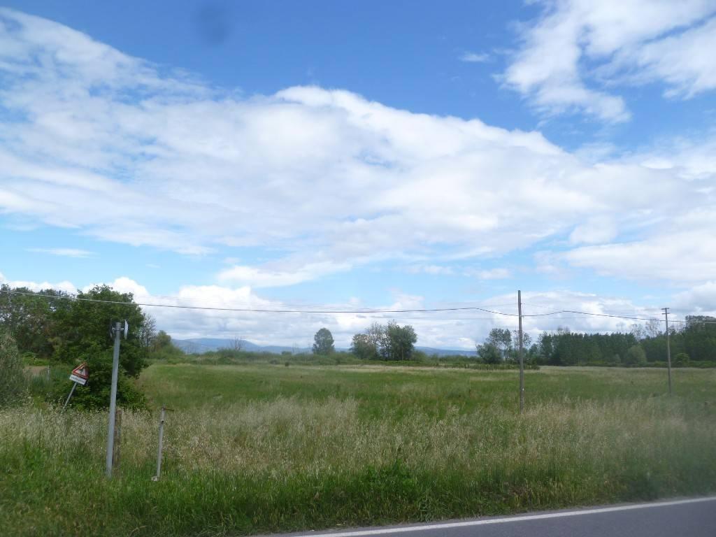 terreno agricolo in vendita a Castiglione del Lago