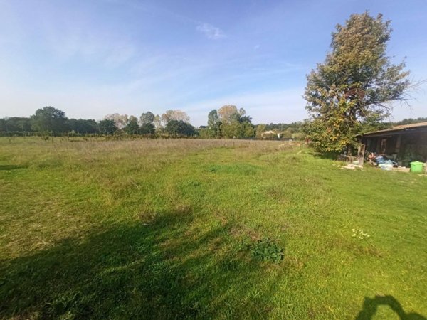 terreno agricolo in vendita a Castiglione del Lago
