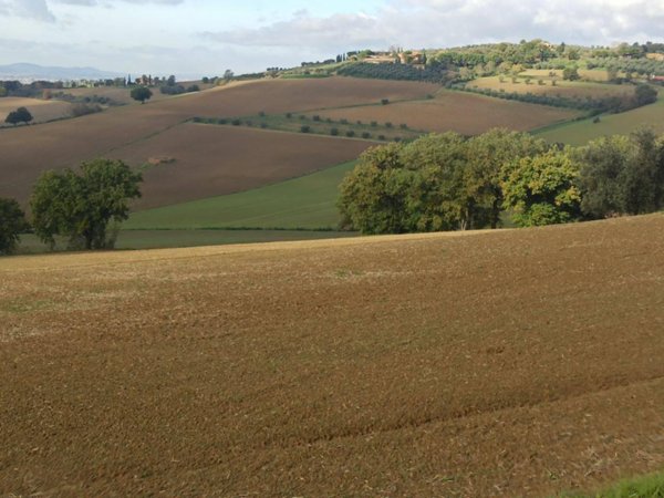 appartamento in vendita a Castiglione del Lago