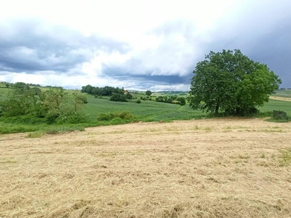 terreno agricolo in vendita a Castiglione del Lago