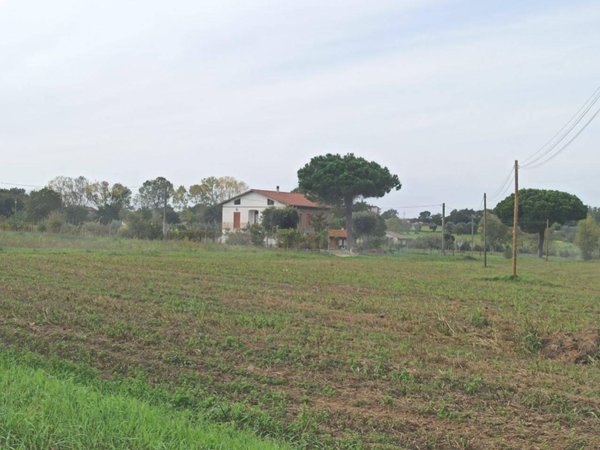 terreno agricolo in vendita a Castiglione del Lago
