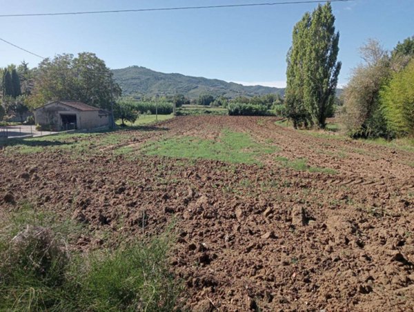 terreno agricolo in vendita a Castiglione del Lago
