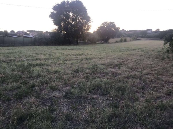 terreno agricolo in vendita a Castiglione del Lago