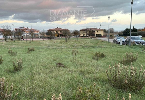 terreno agricolo in vendita a Castiglione del Lago