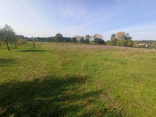 terreno edificabile in vendita a Castiglione del Lago