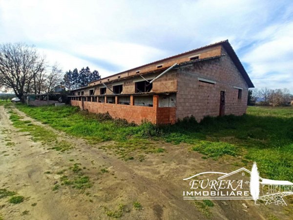 capannone in vendita a Castiglione del Lago