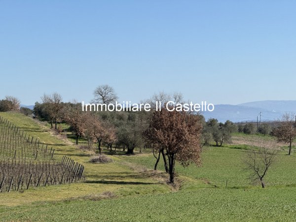 negozio in vendita a Castiglione del Lago in zona Petrignano del Lago