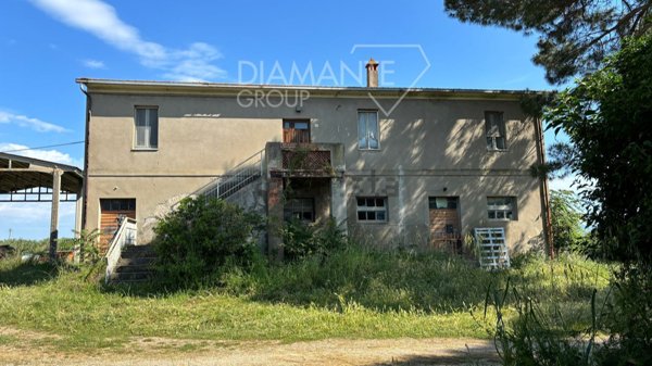 esavano in vendita a Castiglione del Lago