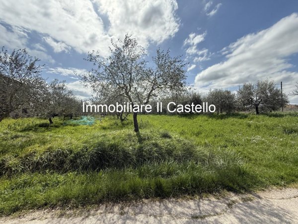 casale in vendita a Castiglione del Lago