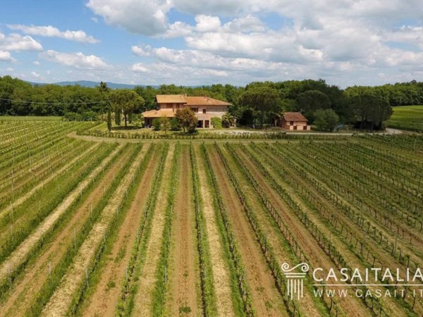 negozio in vendita a Castiglione del Lago