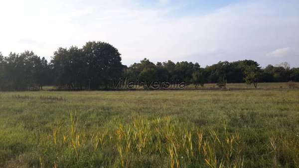terreno agricolo in vendita a Castiglione del Lago