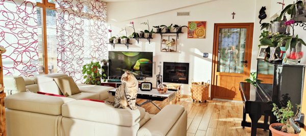 casa indipendente in vendita a Castiglione del Lago