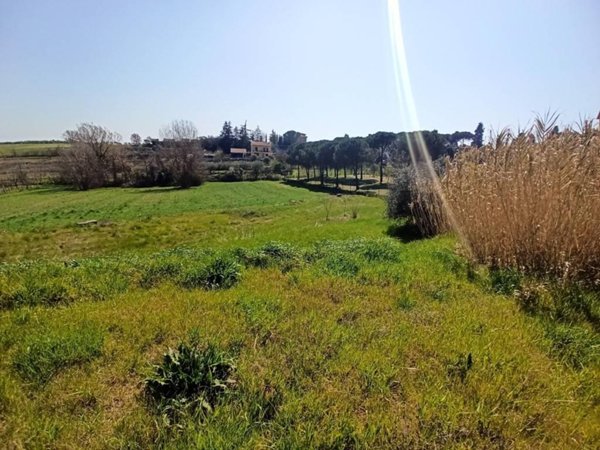 terreno agricolo in vendita a Castiglione del Lago