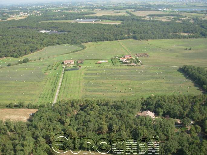 terreno agricolo in vendita a Castiglione del Lago