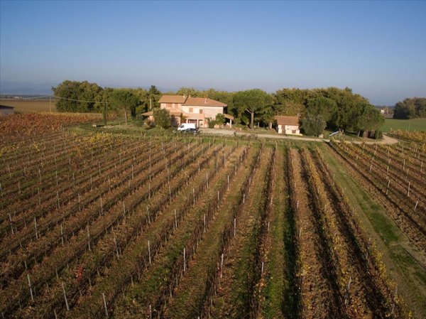 appartamento in vendita a Castiglione del Lago