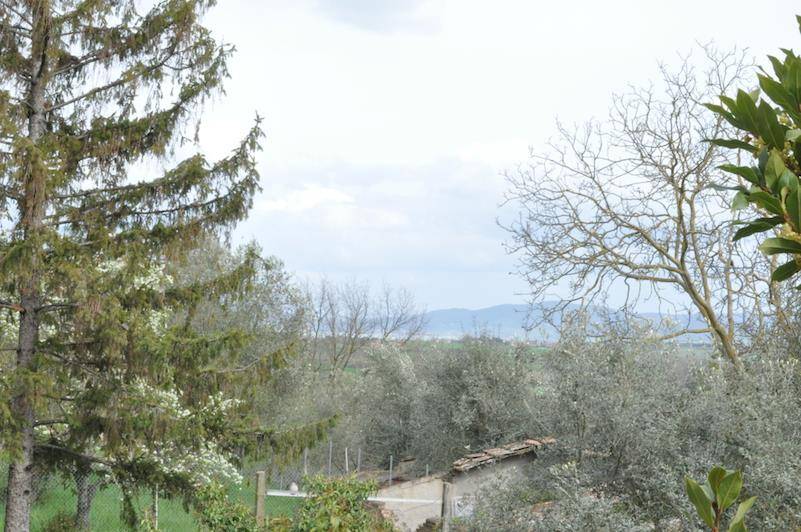 appartamento in vendita a Castiglione del Lago