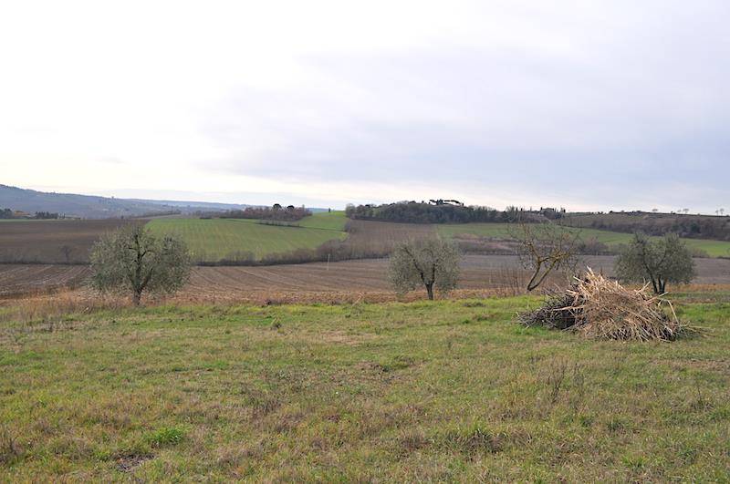 appartamento in vendita a Castiglione del Lago