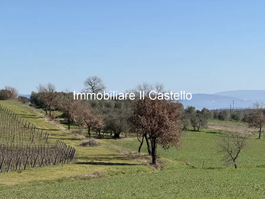 mansarda in vendita a Castiglione del Lago in zona Petrignano del Lago