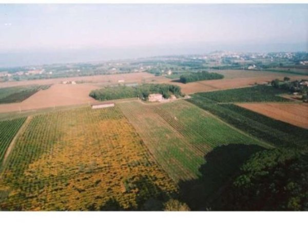 azienda agricola in vendita a Castiglione del Lago