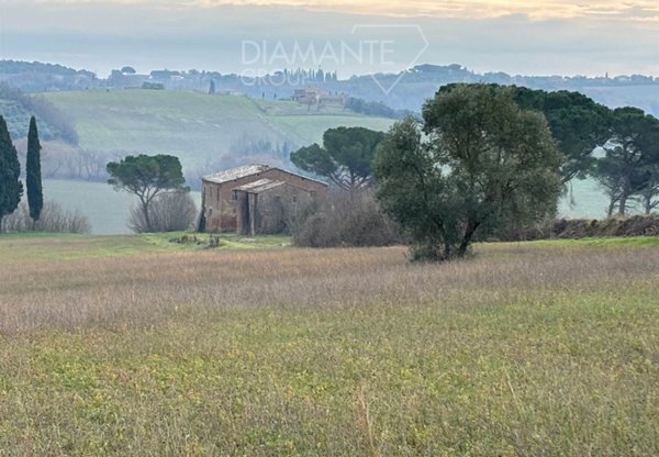 azienda agricola in vendita a Castiglione del Lago