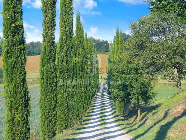 casa indipendente in vendita a Castiglione del Lago