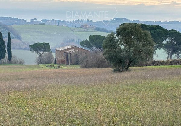 azienda agricola in vendita a Castiglione del Lago in zona Petrignano del Lago