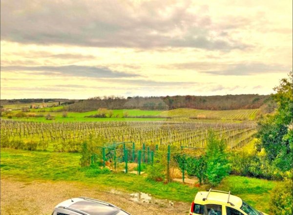 azienda agricola in vendita a Castiglione del Lago