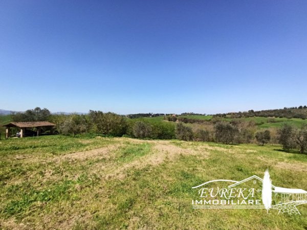 terreno agricolo in vendita a Castiglione del Lago