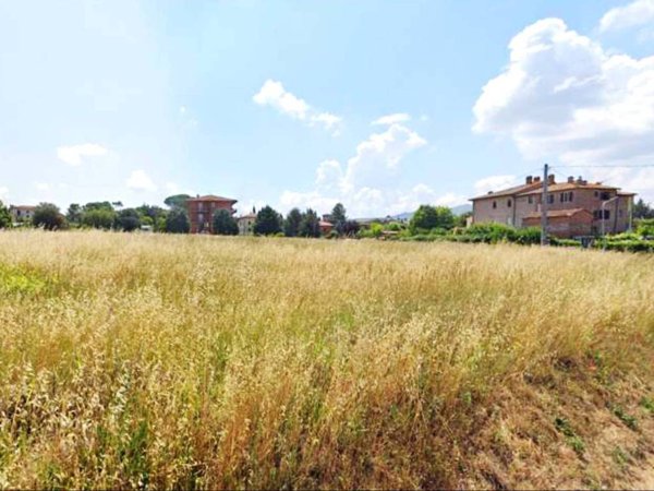 terreno agricolo in vendita a Castiglione del Lago in zona Macchie