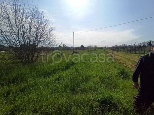 terreno agricolo in vendita a Castiglione del Lago