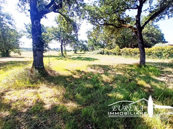 terreno in vendita a Castiglione del Lago